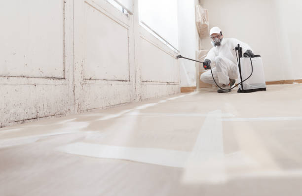 24/7 Emergency Mold Inspection experts in Milton, WA